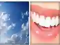 게임 4x1 Picture Quiz 온라인
