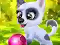 게임 Happy Dog 온라인