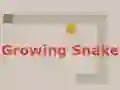 게임 Growing Snake 온라인