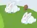 게임 Crazy Eggs 온라인