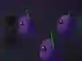 게임 Night Night 온라인