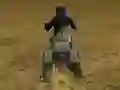 게임 Real Moto Stunts Challenge 온라인