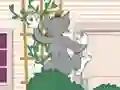 게임 Tom und Jerry: Wasserbomben Wahnsinn 온라인