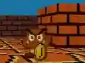 게임 Mario FPS 온라인