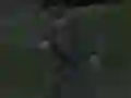 게임 Soviet Sniper 온라인