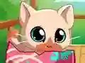 게임 My Pocket Pets Kitty Cat 온라인