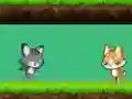 게임 Cat vs Dog 온라인