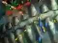 게임 Fishing King 온라인
