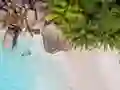 게임 Seychelles Beach Jigsaw Puzzle 온라인