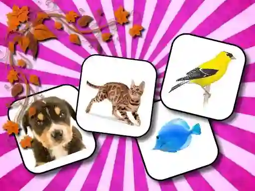 게임 Animals Memory 온라인