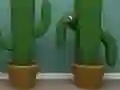 게임 Cactus Cube 온라인
