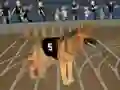 게임 Crazy Dog Racing Fever 온라인