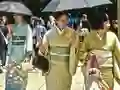게임 100 Butterflies in Japan 온라인