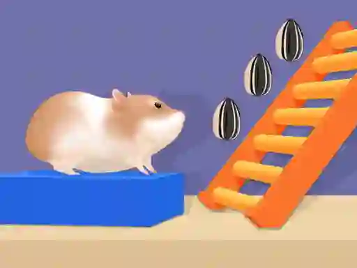 게임 Hamster Stack Maze 온라인