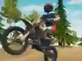 게임 Dirt Bike Enduro Racing 온라인