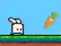 게임 Bouncing Bunny 온라인