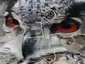 게임 Wild owl Jigsaw 온라인