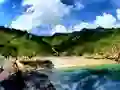 게임 Parrot House Escape 온라인