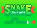 게임 Snake Challenge 온라인