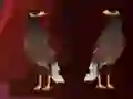 게임 Peikin Duck Escape 온라인