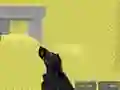 게임 Pixel Combat Multiplayer 온라인