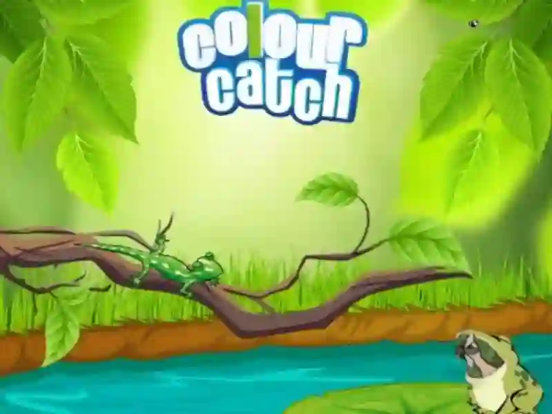 게임 Colour Catch 온라인