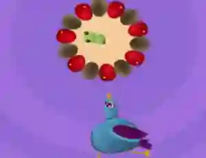게임 Pigeon Game 온라인