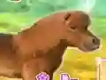 게임 My Dear Pony 온라인
