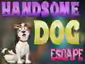 게임 Handsome Dog Escape 온라인