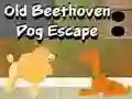 게임 Old Beethoven Dog Escape 온라인