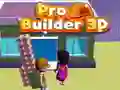 게임 Pro Builder 3D 온라인