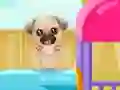 게임 Puppy Playground Builder 온라인