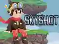 게임 Skyshot 온라인