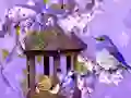 게임 Wonderful Humming Bird Land Escape 온라인