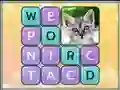 게임 Word Search Pictures 온라인
