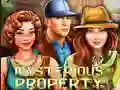 게임 Mysterious Property 온라인