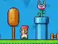 게임 Ninja Plumber 온라인