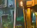 게임 Playful Tortoise Escape 온라인
