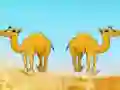 게임 Desert Gold Rush The Great Treasure Escape 온라인