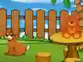 게임 Funny Iguana Escape 온라인