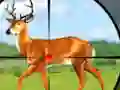 게임 Wild Hunt Hunting Games 3D 온라인