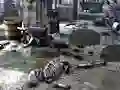 게임 Friends Rescue From Skeleton 온라인