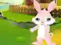 게임 Find The Buddy Rabbit 온라인