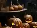 게임 Halloween Weird Pumpkin Escape 온라인