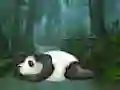 게임 Wakeup The Sleeping Panda 온라인