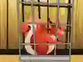 게임 Rescue The Red Squirrel From Cage 온라인