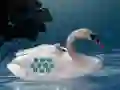 게임 Save The Swan Mother Child 온라인