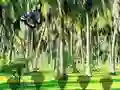 게임 Rescue Tasmanian Tiger 온라인