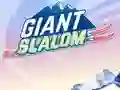 게임 Giant Slalom 온라인