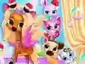 게임 Pets Grooming Bubble Party 온라인